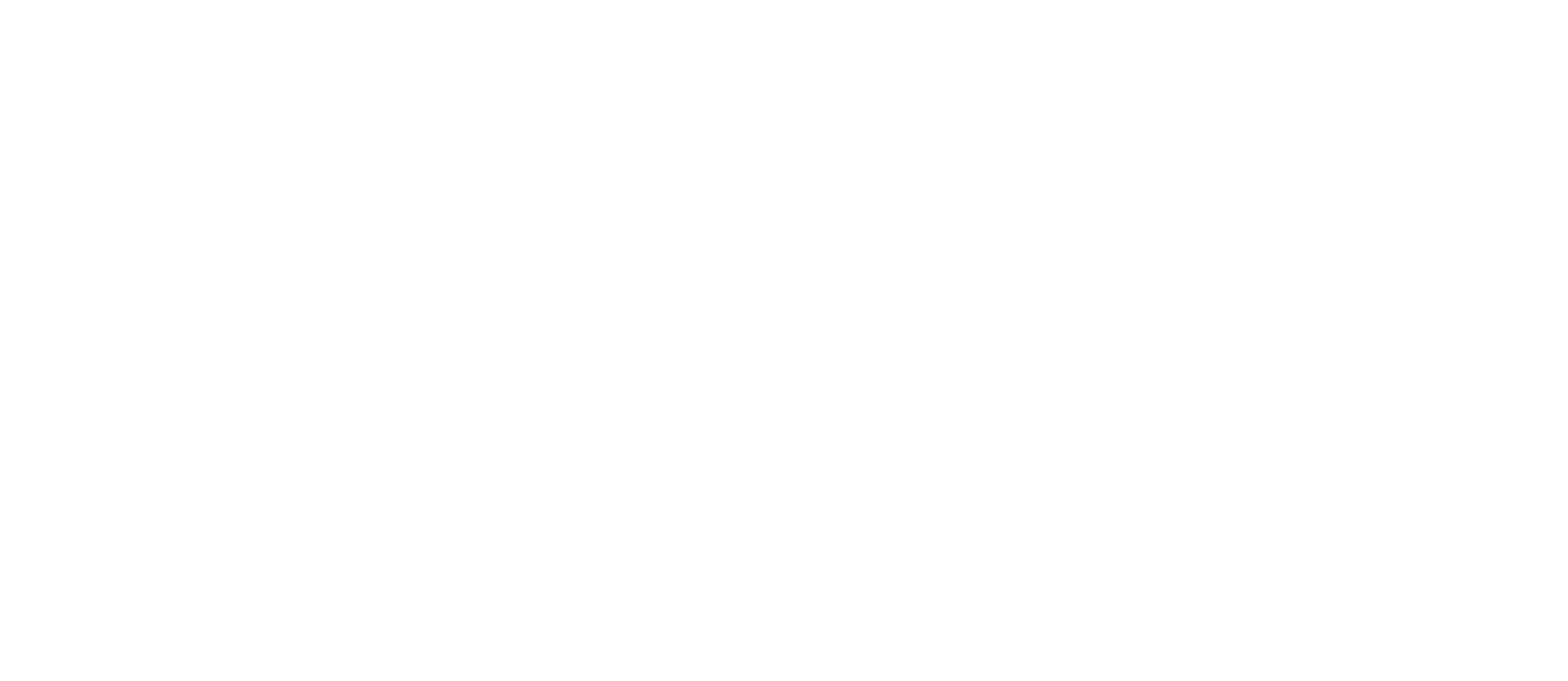 aom - variantes-08
